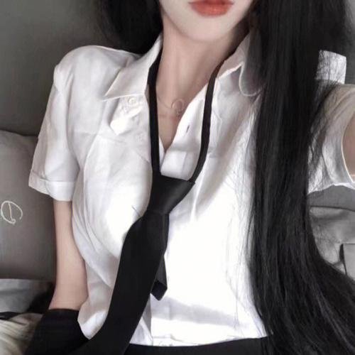 白痴5和哭喊的夫人 海报